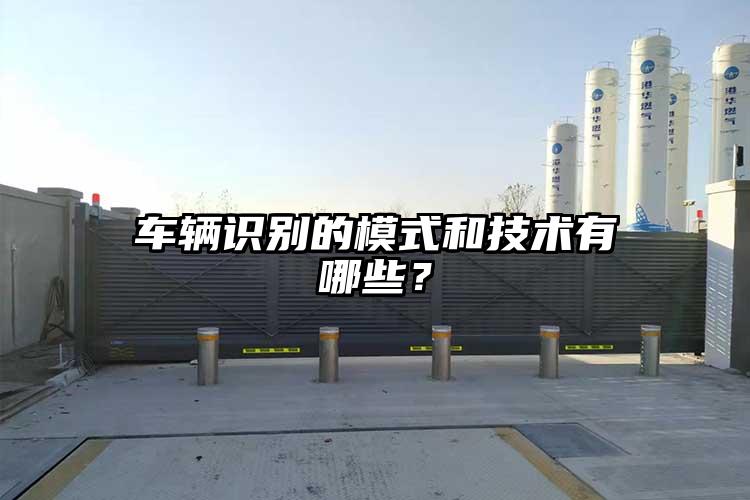 車輛識別的模式和技術有哪些？