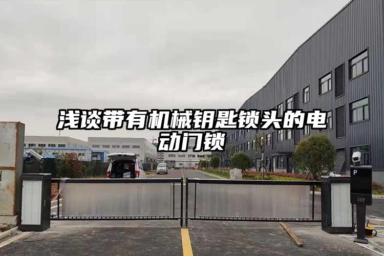 淺談帶有機械鑰匙鎖頭的電動門鎖