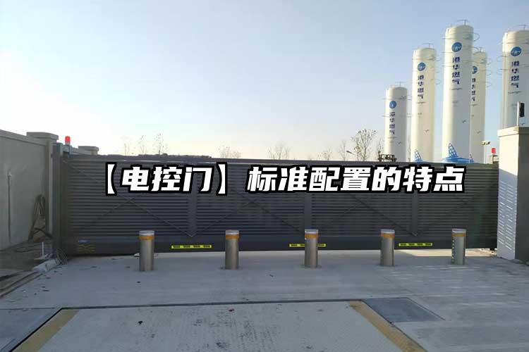 【電控門】標(biāo)準(zhǔn)配置的特點(diǎn)